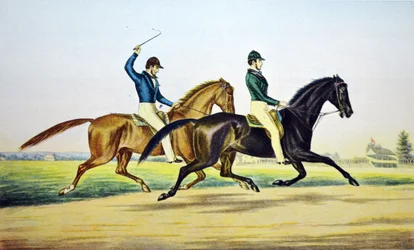 Mac und Zachary Taylor